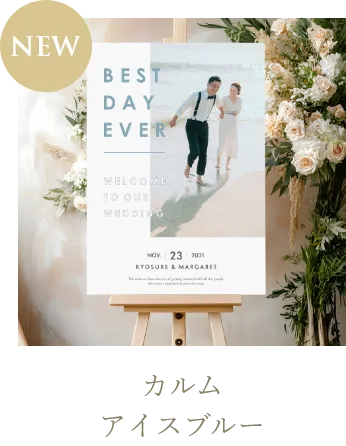 カルム アイスブルー（A2パネル）