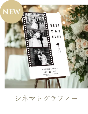 シネマトグラフィー（A2パネル）