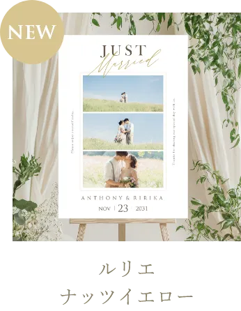 ルリエ ナッツイエロー（A2パネル）