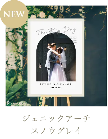 ジェニックアーチ スノウグレイ