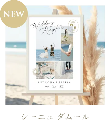 シーニュ ダムール