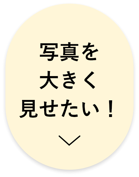 写真を大きく見せたい！